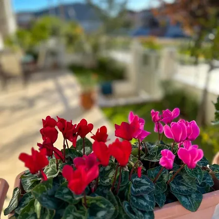 Διαμέρισμα Anesis *